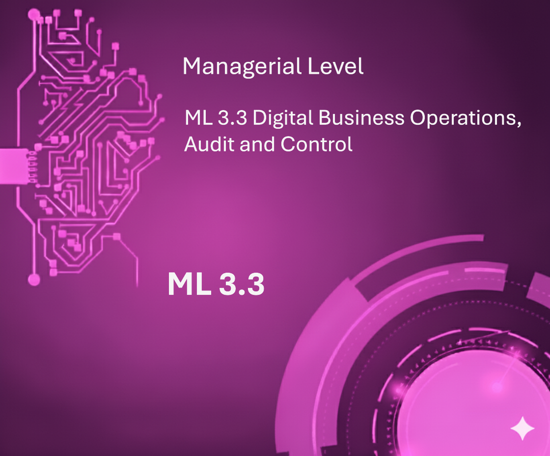 ML 3.3 Digital Business & Project Management