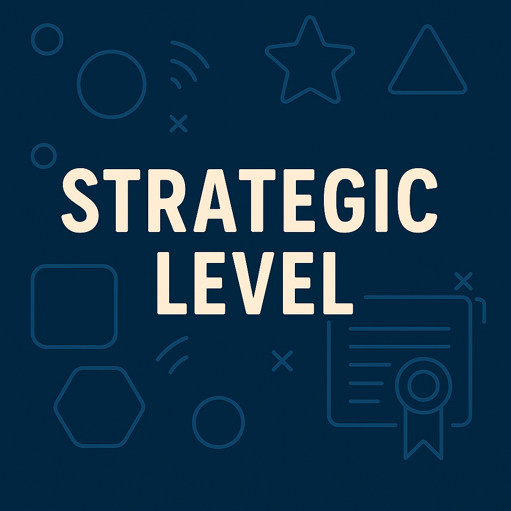 Strategic Level